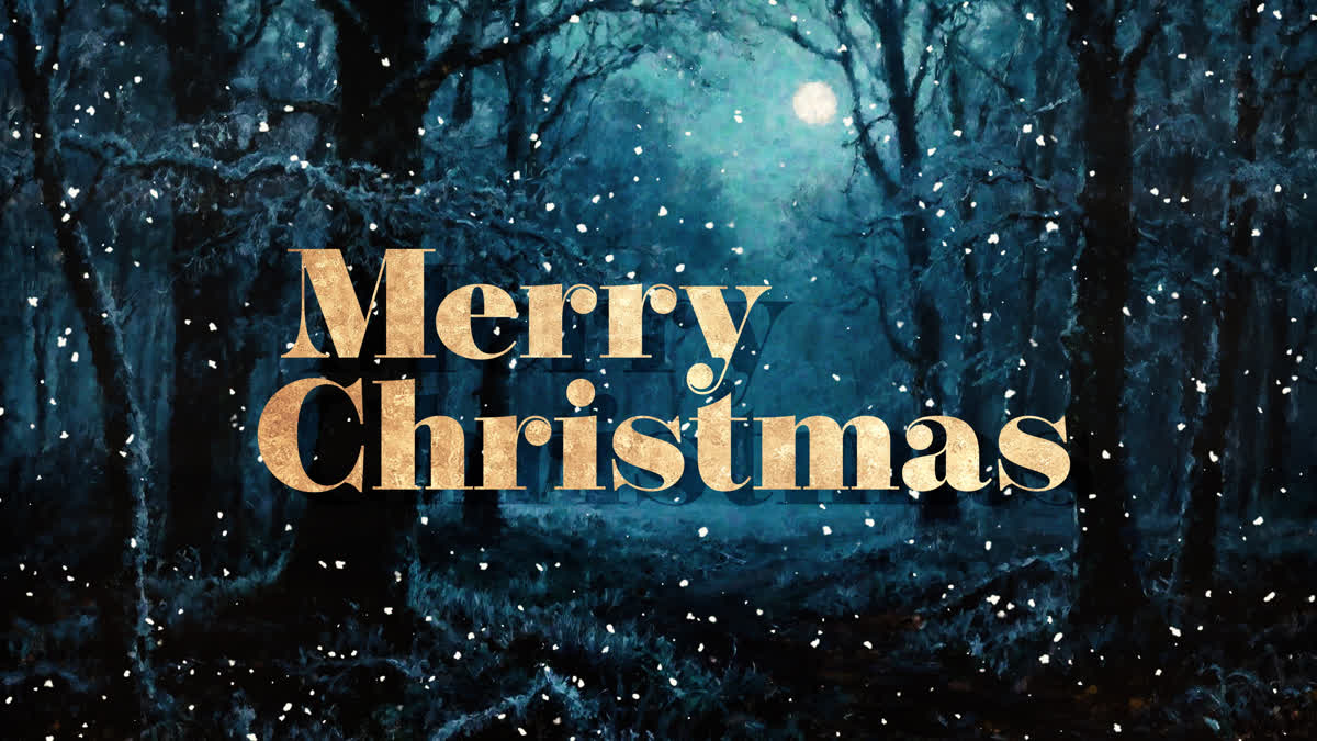 Snow Day Christmas