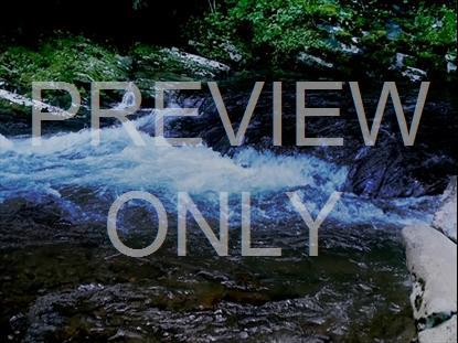 River Wild 13 Hd Still