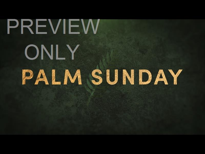 Palm Sunday Still: The Gospel According To Peter