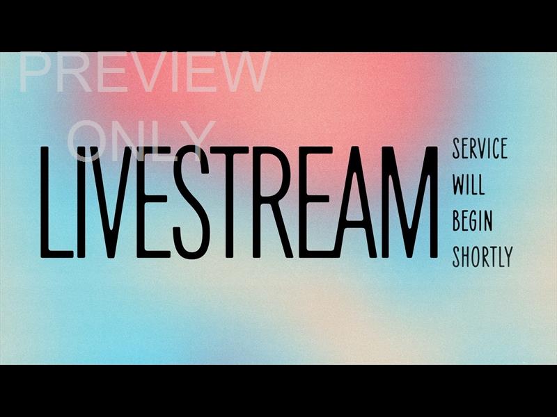 Paint The Sky Livestream Still
