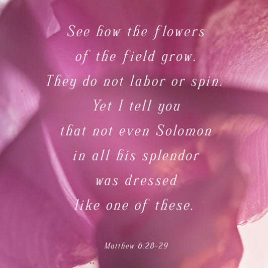 Flowers Of The Field Still Social 04