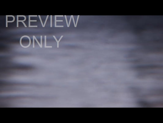 Night Light Still 12