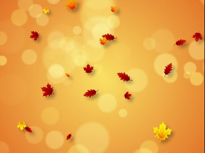 Fall 1 Motion Vol6
