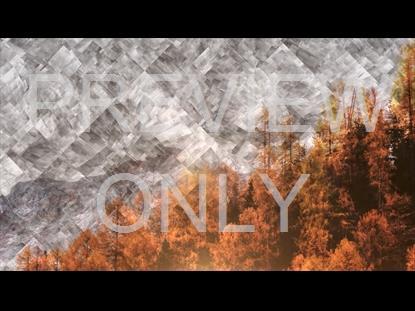 Colorful Fall 4 Graphic