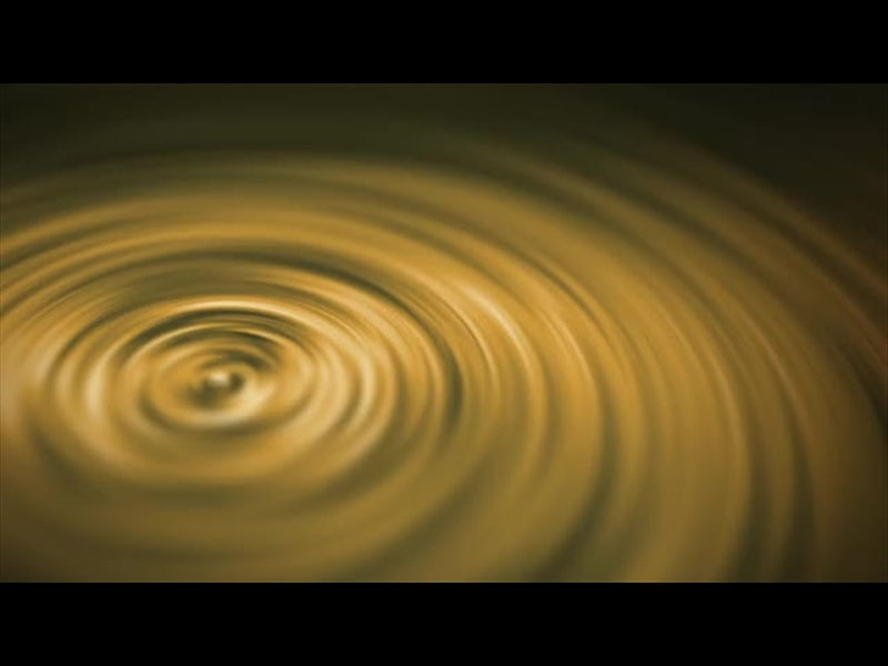 As The Seasons Turn Loop 08
