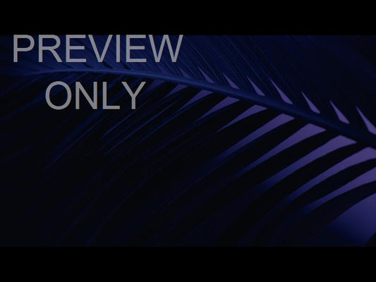 Cinematic Palms Still 26