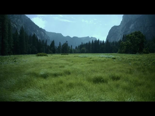 Yosemite Meadows Motion - 03