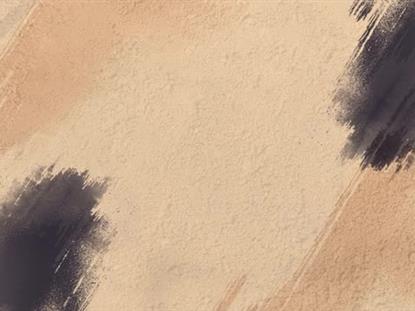 For Our Veterans Motion