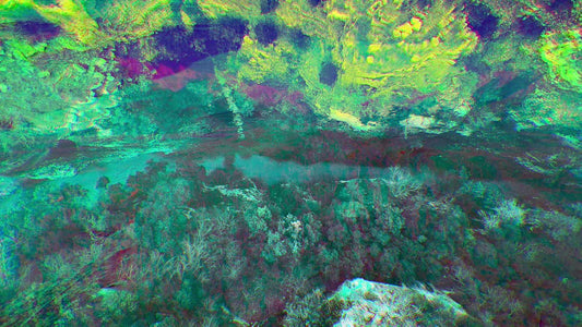 N Z Mashup 5 Still
