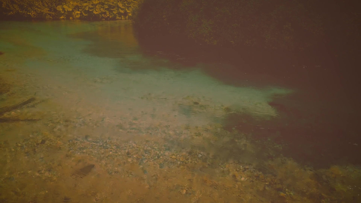 Blue Eye 12 Vintage Still