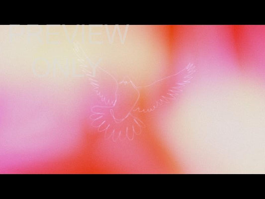 Soaring Still 04