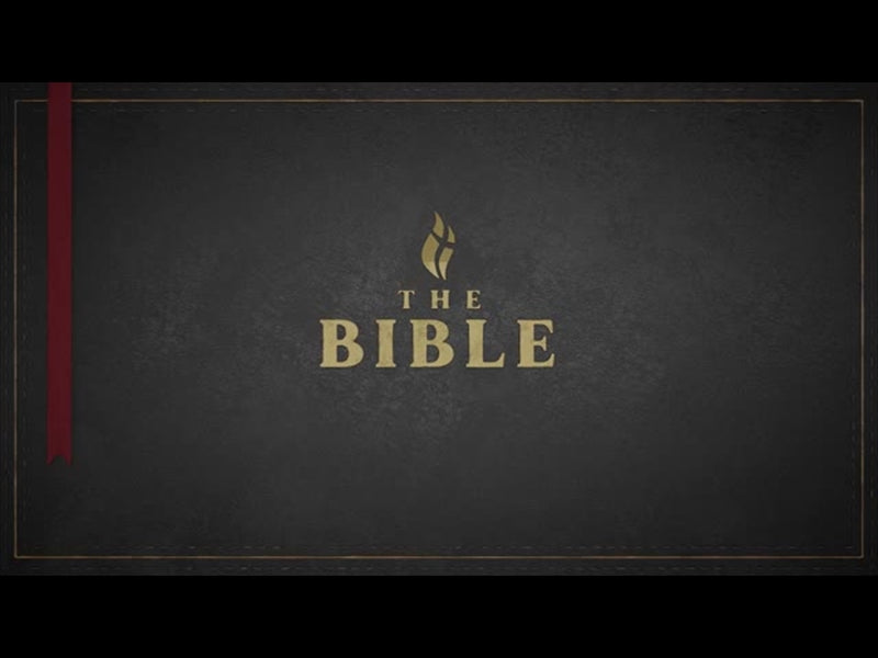 Title: The Bible - Black