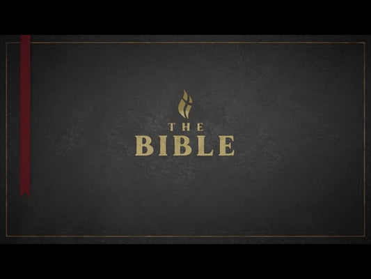 Title: The Bible - Black