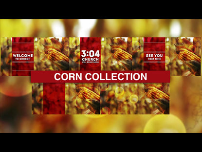 Corn Collection