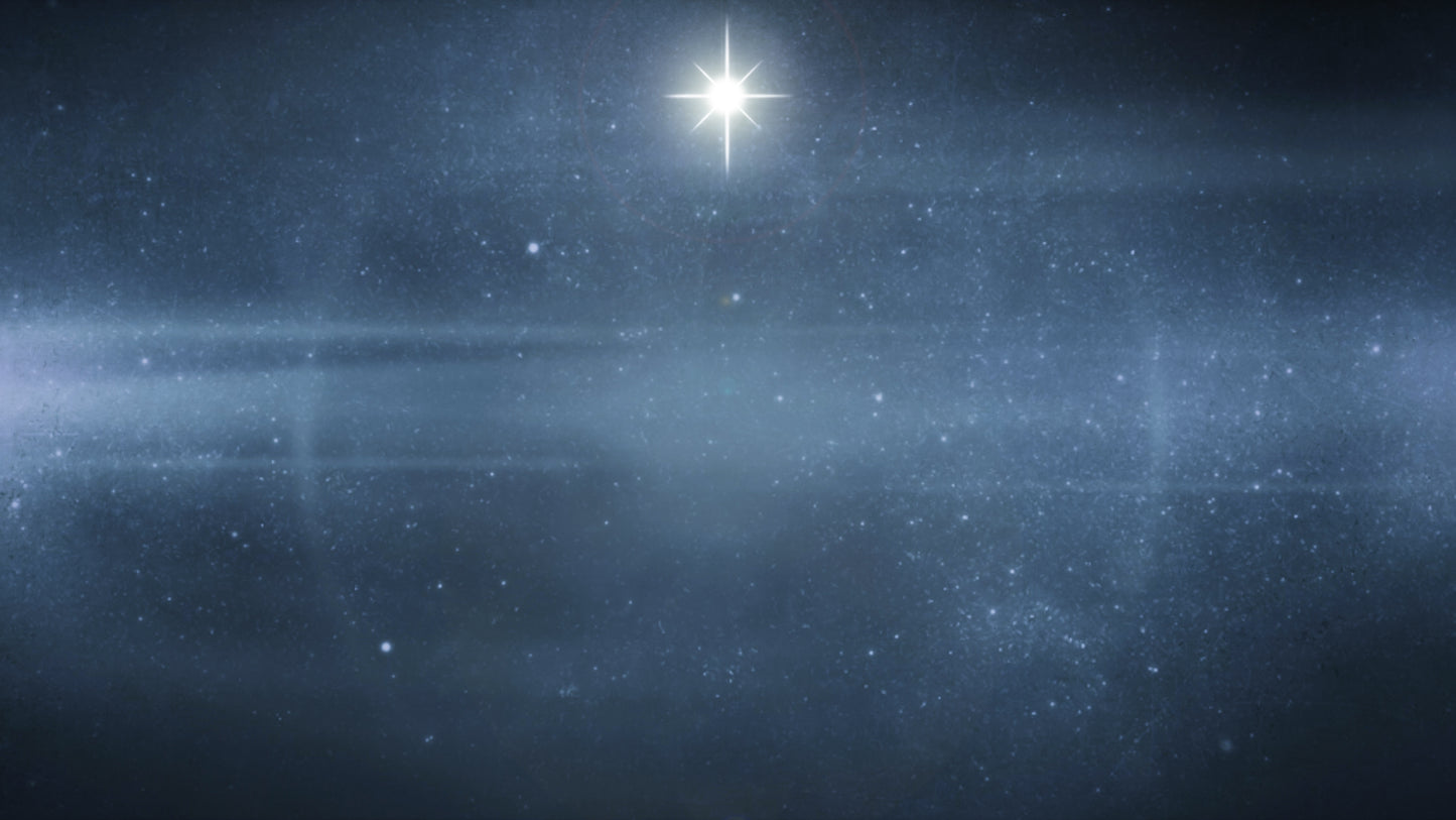 Christmas Forest Blue 3 Still