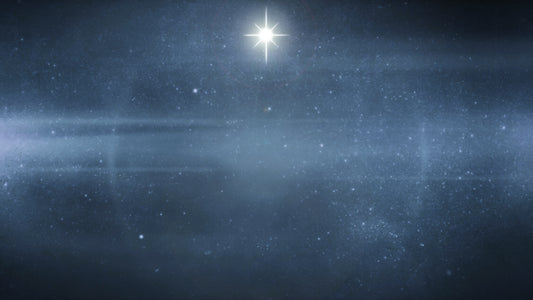 Christmas Forest Blue 3 Still