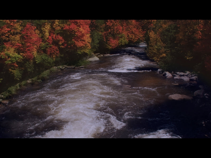 Northwest Fall 5