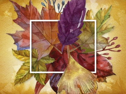 Thanksgiving Centerpiece Motion 2