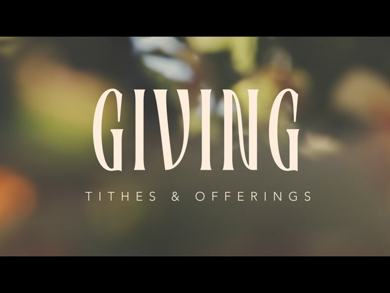 Gardenista Giving