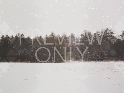 Winter Forest Frame Blank 3