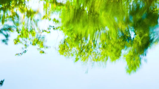 Living Waters 07