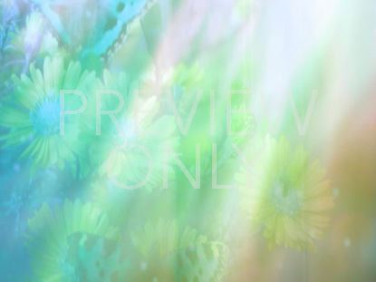 Floral Bloom 03