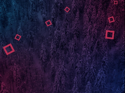 Dense Snowy Forest Squares