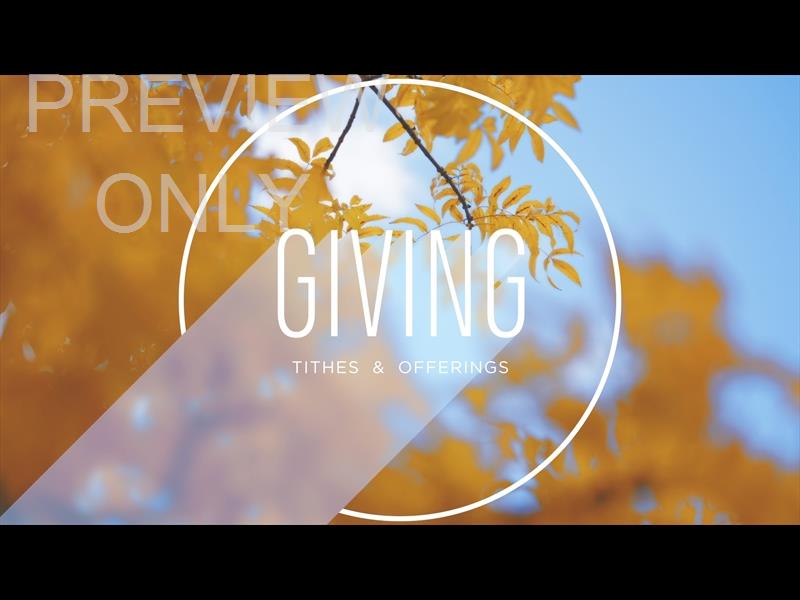 Fall Shadow Still Giving