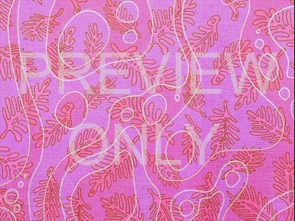 Coral Colors Pink