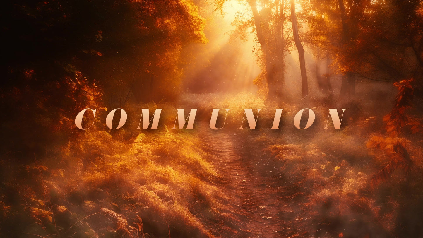 Autumn Path Communion Still