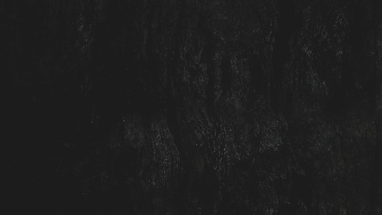 Dark Surface Six Still