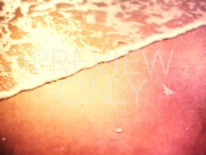 Sunlit Shore Still