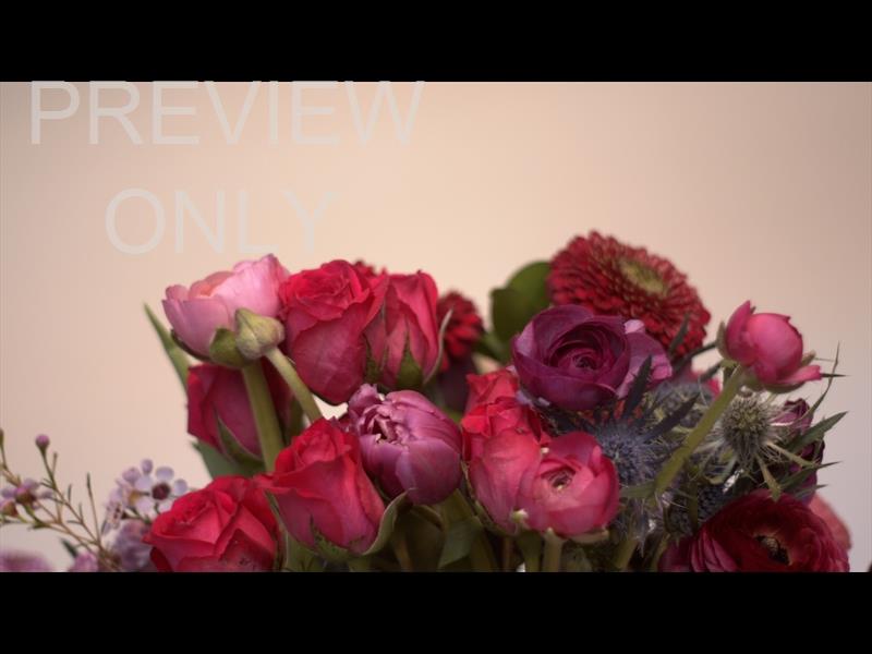 Spring Florals: 1 Still