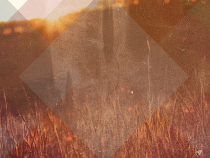 Wheat Field