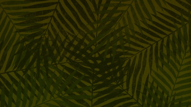 Textured Palms 03