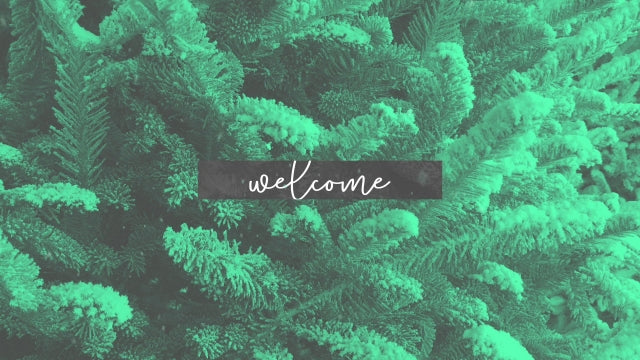 Modern Winter Trees Welcome