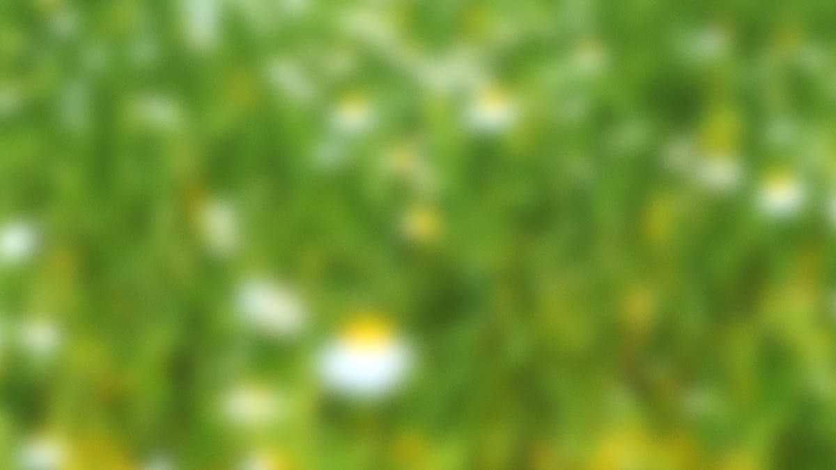 Springtime Bloom 15
