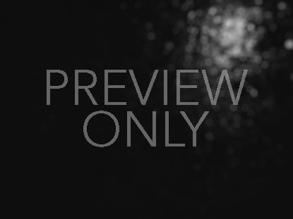 Black And White Falling Sparkles