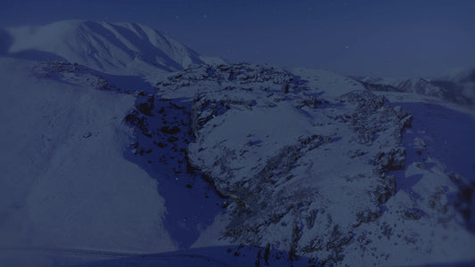 Deep Winter 14 Tint Still