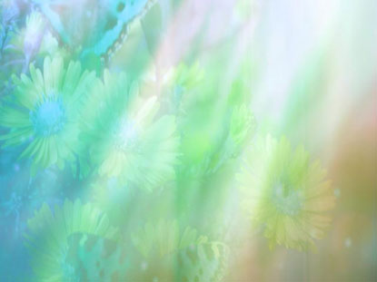 Floral Bloom 03