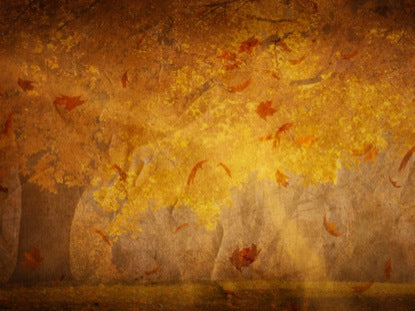 Fall Leaves Background