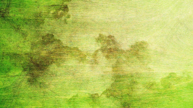 Wooden Sky 05