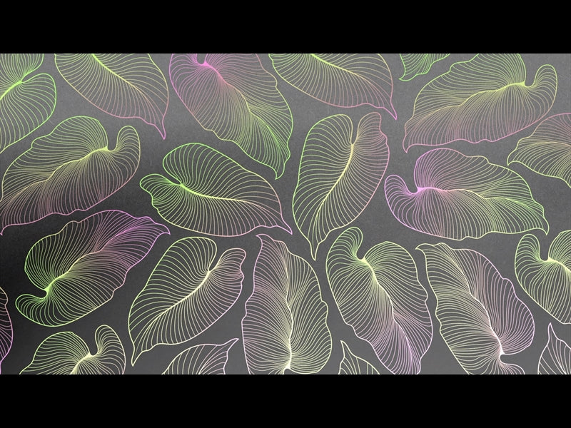 Tropical Night Loop 05