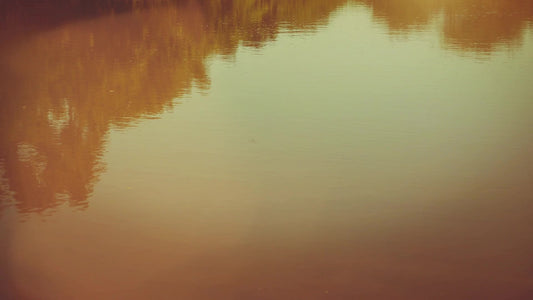 Summer Bright Pond Still