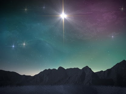 Nativity Christmas 5