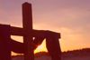 Easter Celebration 1