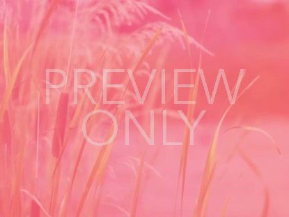 High Fashion Nature 3