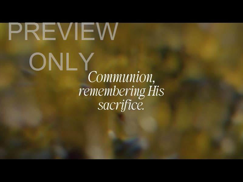 Daydream Communion Still