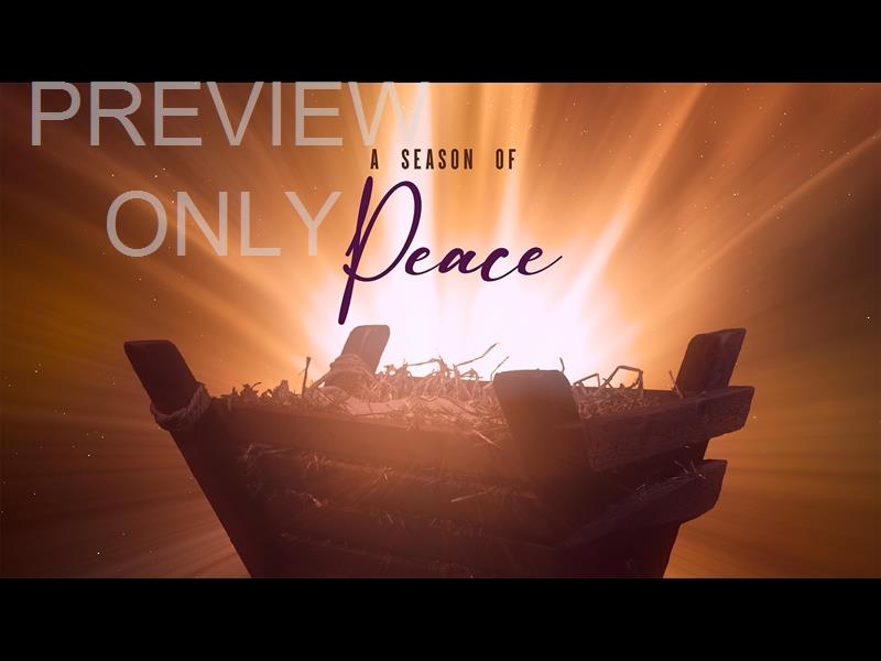 Christmas Manger Peace Still