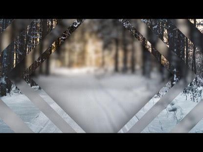 Winter 3